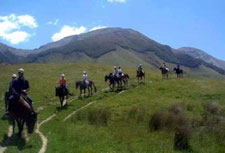 New Zealand-South Island-Alpine Pacific Triangle Ride